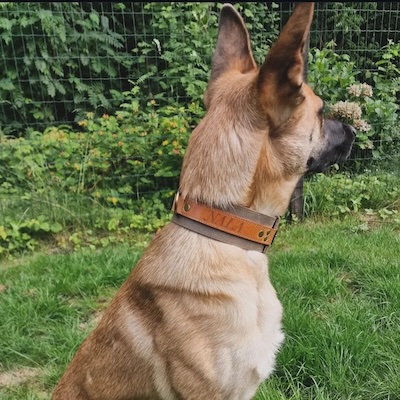 Nala